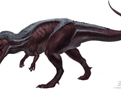 方舟生存手机版蜗牛(手机版方舟蜗牛有什么用)