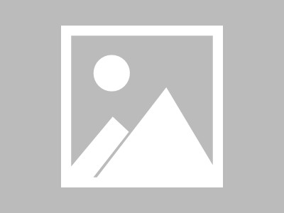 松鼠浏览器手机版下载(松鼠浏览器手机版下载官网)